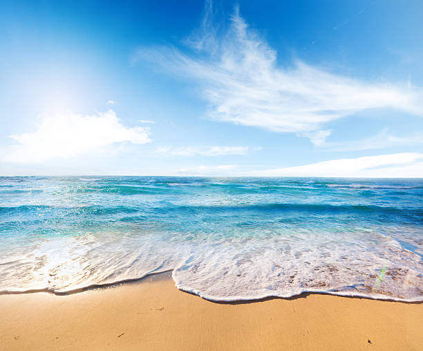 istock beach and tropical sea 156609181