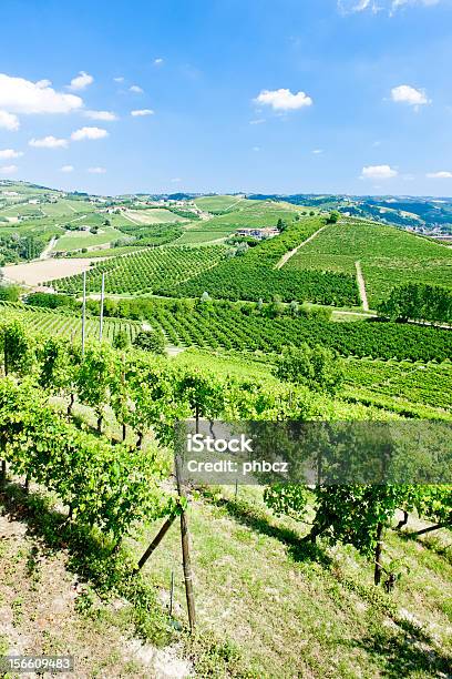 Vineyars 피에드먼트 이탈리아 0명에 대한 스톡 사진 및 기타 이미지 - 0명, 경관, 남유럽