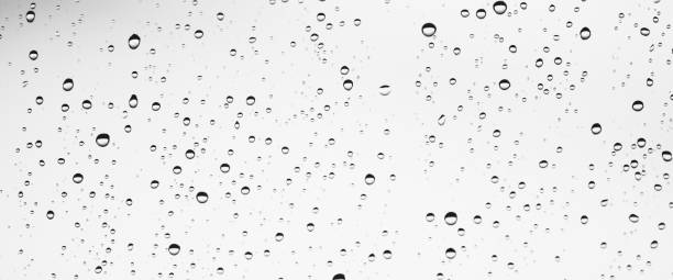 istock Minimal grayscale backdrop with rain droplets on white glass. Light wet window with rainy drops closeup in black-white. Blurry minimalist monochrome background of window glass with raindrops close up. 1566097244