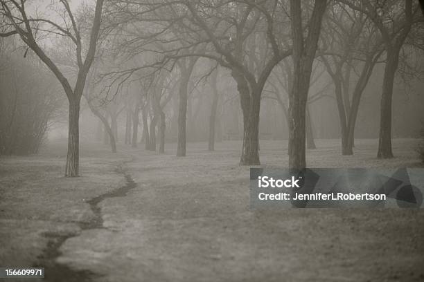 Árboles En La Niebla Foto de stock y más banco de imágenes de Aire libre - Aire libre, Blanco y negro, Escena de tranquilidad