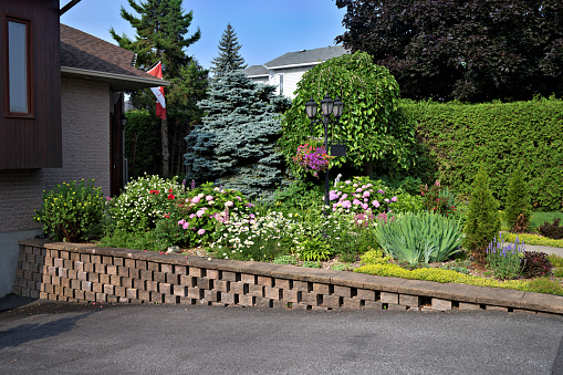 Front yard landscaped with retaining wall and flowerbed consisting of perennial bushes and flowers in bloom on early sunny summer morning
