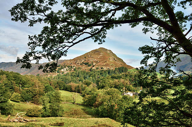 istock View of Helm Crag, framed within leafy branches 156611656