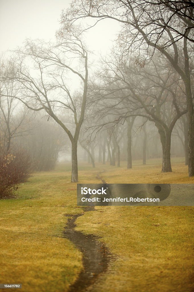 Nebbia mattina nel parco - Foto stock royalty-free di Saskatchewan