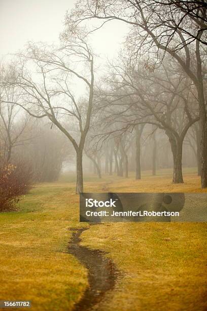 Nebbia Mattina Nel Parco - Fotografie stock e altre immagini di Saskatchewan - Saskatchewan, Sentiero, Albero