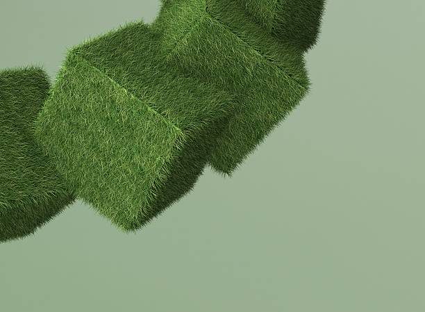 istock Grass box with eco and green concept 156612419