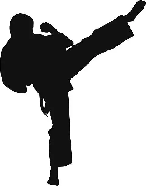 Vector illustration of Karate fighter silhouette