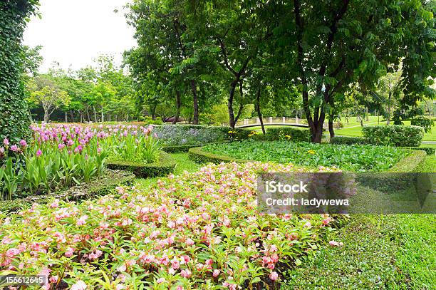 Photo libre de droit de Fleur Lits Et Pelouse Dans Le Parc banque d'images et plus d'images libres de droit de Arbre en fleurs - Arbre en fleurs, Banc public, Bois