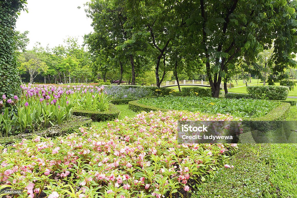 フラワーベッドと芝生を公園 - パークベンチのロイヤリティフリーストックフォト