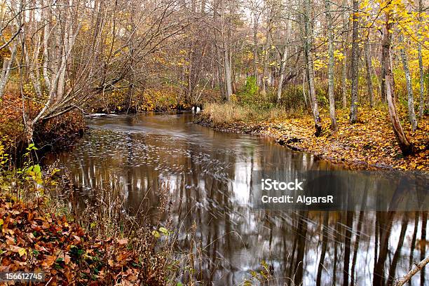 Río En El Bosque Foto de stock y más banco de imágenes de Agua - Agua, Aire libre, Amarillo - Color