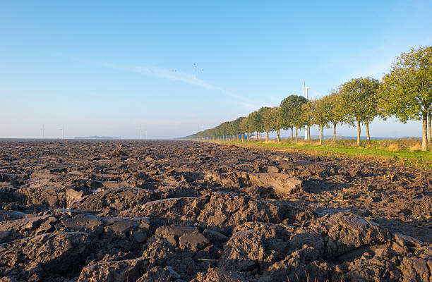 furrows в поле на рассвете - polder autumn dirt field стоковые фото и изображения