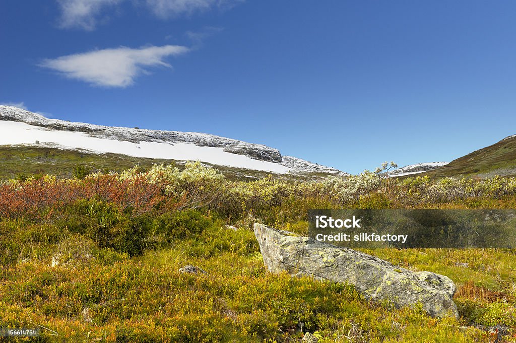 Cor de outono em montanhas com neve da estação - Foto de stock de Beleza natural - Natureza royalty-free