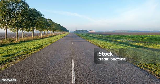 Droga Wzdłuż Drzew Na Jesień - zdjęcia stockowe i więcej obrazów Almere - Almere, Bez ludzi, Droga