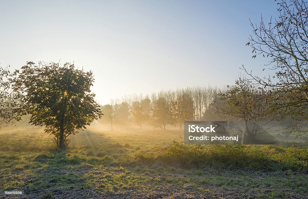 Diesigen Morgen im Herbst - Lizenzfrei Almere Stock-Foto