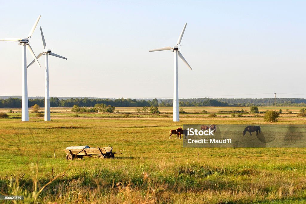 Horsed und Windturbinen - Lizenzfrei Agrarbetrieb Stock-Foto