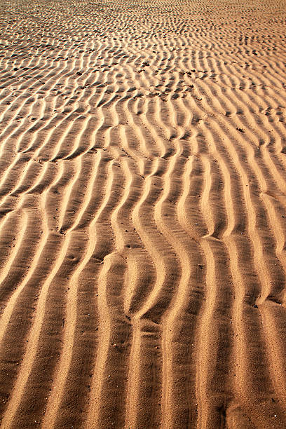 jaune plage - sahara desert coastline wind natural pattern photos et images de collection