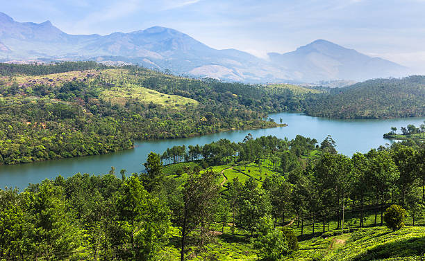 istock Tea plantation, Kannan Devan Hills, Munnar, Kerala, India. 156623204