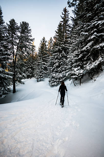 istock Woman Snowshoe Through Snowy Forest 156623521