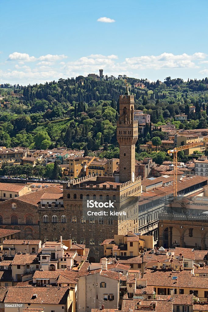 Florence i Palazzo Vecchio - Zbiór zdjęć royalty-free (Architektura)