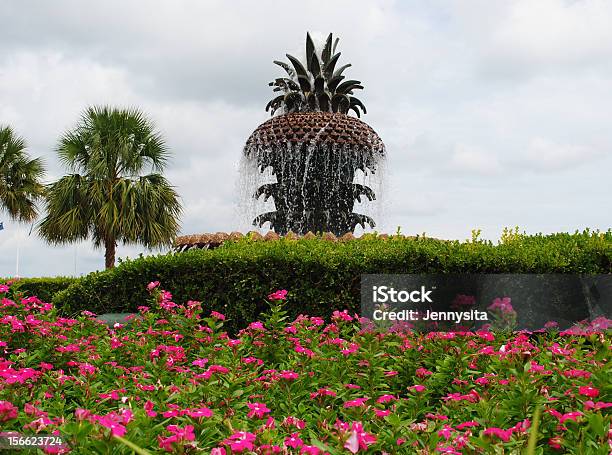 Foto de Máquina De Abacaxi Em Charleston Carolina Do Sul e mais fotos de stock de Abacaxi - Abacaxi, Carolina do Sul, Charleston - Carolina do Sul