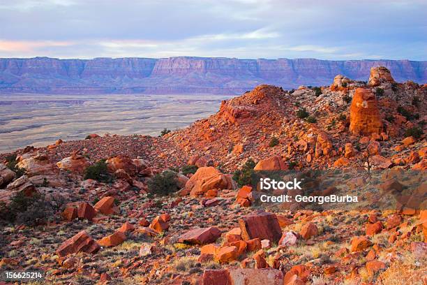 Deserto Vermelho - Fotografias de stock e mais imagens de Ao Ar Livre - Ao Ar Livre, Arizona, Azul