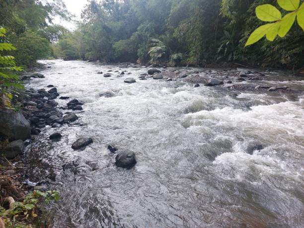 istock Beautiful rivers in Indonesia 1566259219