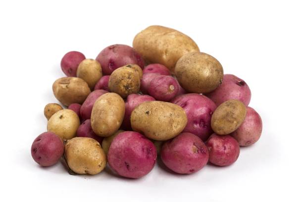 istock Red and yellow baby potatoes on white background. 1566260295