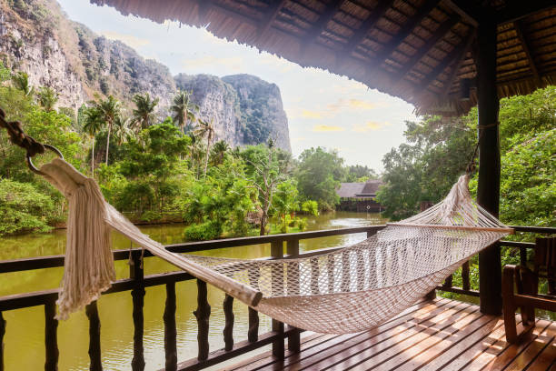 istock Enjoy the serene landscape from a hammock 1566264033