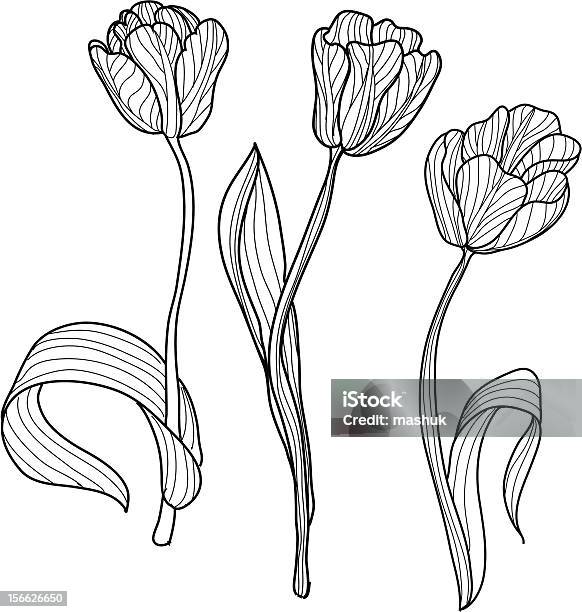 Tulips Stock Illustration - Download Image Now - Tulip, Backgrounds, In Silhouette