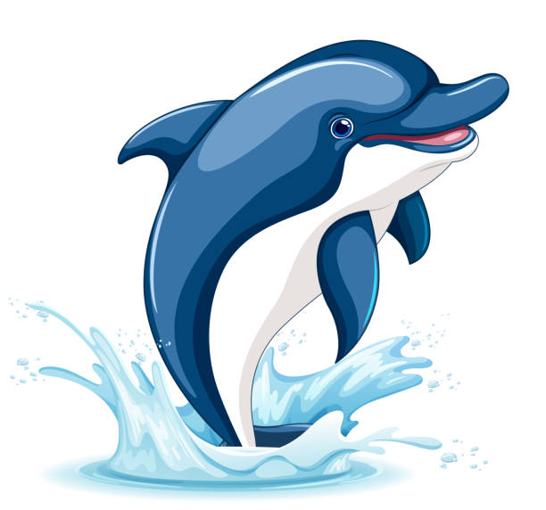 illustrazioni stock, clip art, cartoni animati e icone di tendenza di delfino che salta fuori dall'acqua - happy dolphin