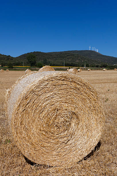 fardos em villarcayo, burgos - villarcayo sunny landscapes nature imagens e fotografias de stock