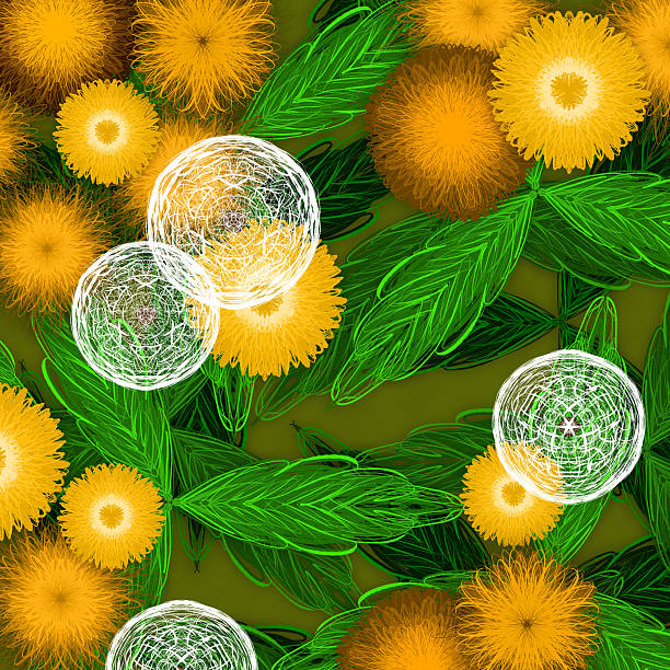 Fleurs de pissenlit jaune - Illustration vectorielle