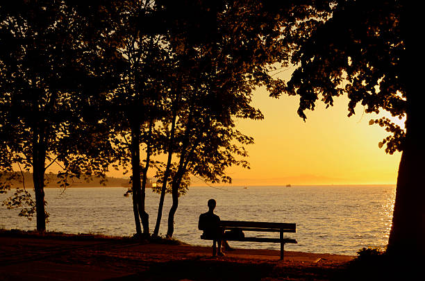 hombre solitario en banco - contemplation silhouette tree men fotografías e imágenes de stock