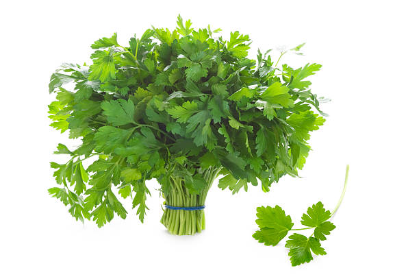 istock bunch of flat leaf parsley isolated on a white background 156628928
