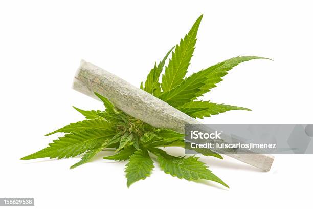 Hanf Stockfoto und mehr Bilder von Blatt - Pflanzenbestandteile - Blatt - Pflanzenbestandteile, Cannabis - Droge, Drogenart