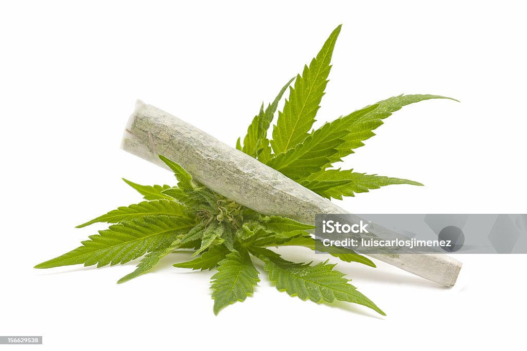 El cáñamo (cannabis) - Foto de stock de Adicción libre de derechos