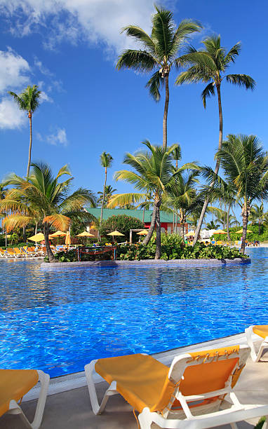 istock Tropical Resort Swimming Pool 156629713