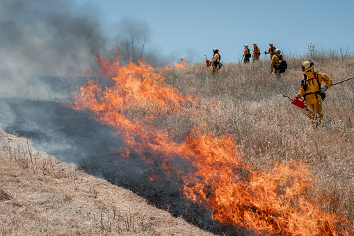 A California wildfire burns trees and grass with flames and smoke.