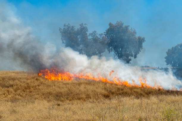 istock Wildfire in California 1566299199