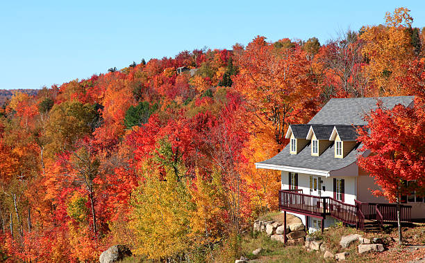 вилла осенью, мо�нт-тремблан, квебек, канада - maple tree autumn tree vibrant color стоковые фото и изображения