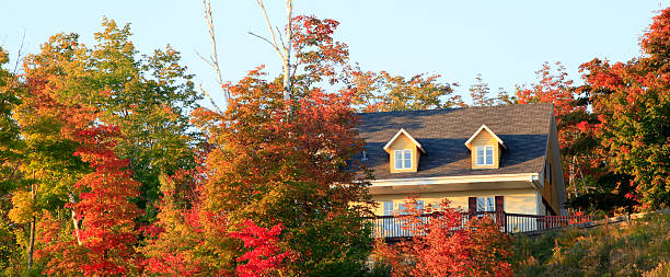 istock Villa in autumn, Mont Tremblant, Quebec, Canada 156629952