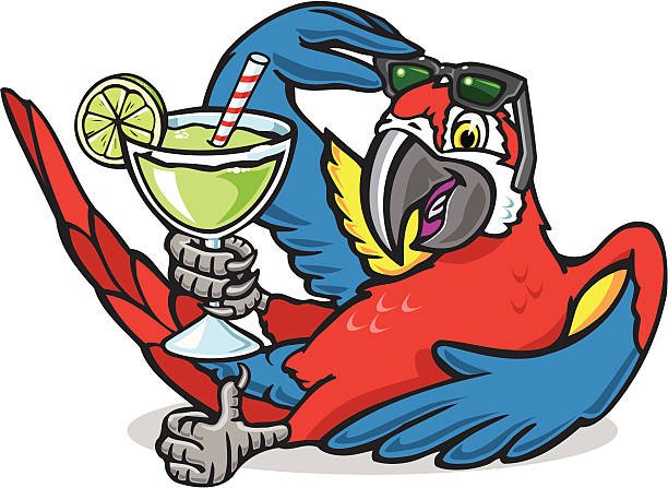Party parrot Scarlet macaw with margarita and shades. parrot stock illustrations