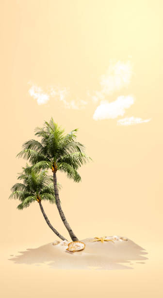 istock View of sandy beach with shells and palm tree 1566348155