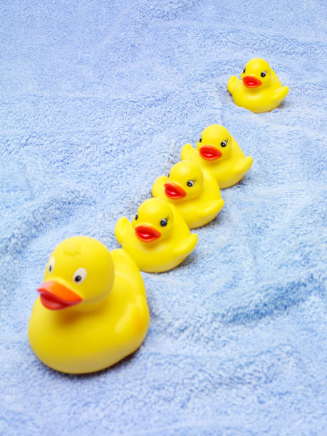 istock Yellow Rubber Ducks on a Blue towel 156635771