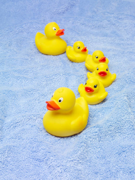 istock Yellow Rubber Ducks on a Blue towel 156635777