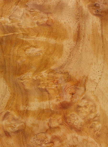 istock Amboyna Wooden Texture Background 156636856