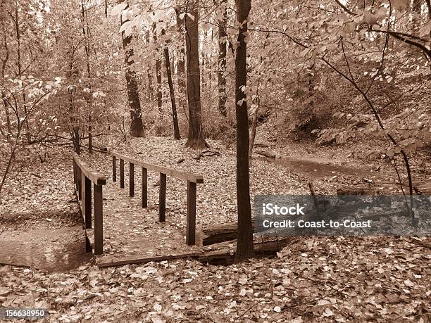 Outubro No Parque De Glover - Fotografias de stock e mais imagens de Ao Ar Livre - Ao Ar Livre, Castanho, Corrente - Água corrente