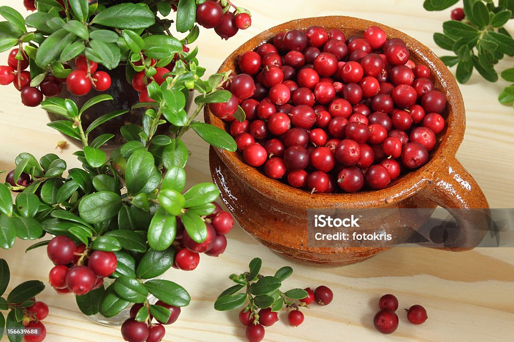 Cowberries Cowberries in ceramic pot  on wooden background. Berry Fruit Stock Photo