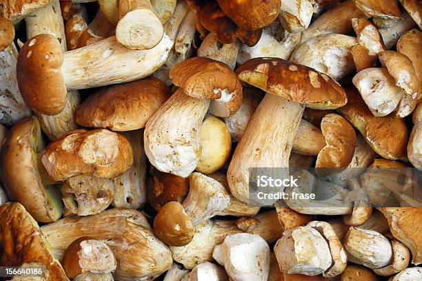 Funghi - Fotografie stock e altre immagini di Alimentazione sana - Alimentazione sana, Ambientazione esterna, Cibo