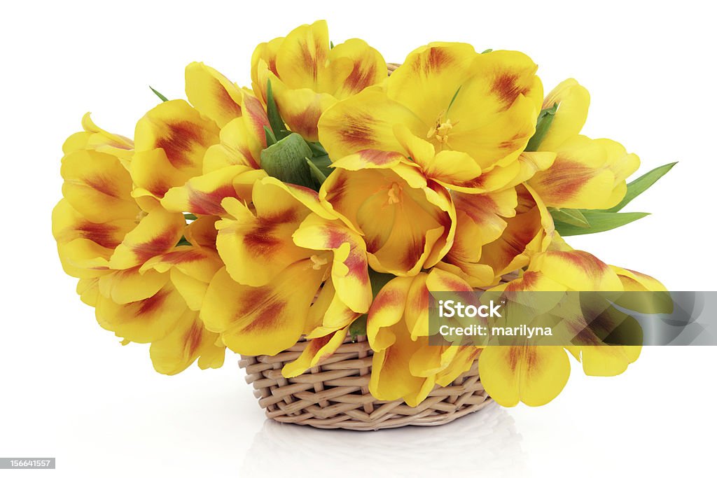 Cesto de Primavera - Royalty-free Amarelo Foto de stock