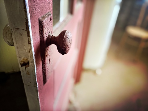 Close up on two brass door handles on a wooden door with window panes.